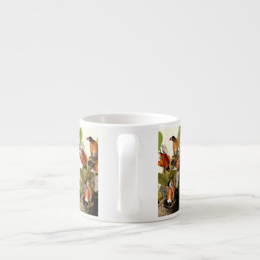 Audubon Amerikaanse Robin Wildlife Bird Illustrati Espresso Kop (Achterkant)