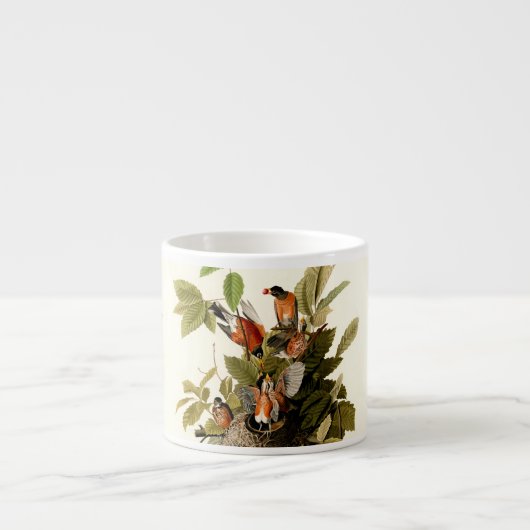 Audubon Amerikaanse Robin Wildlife Bird Illustrati Espresso Kop (Voorkant)