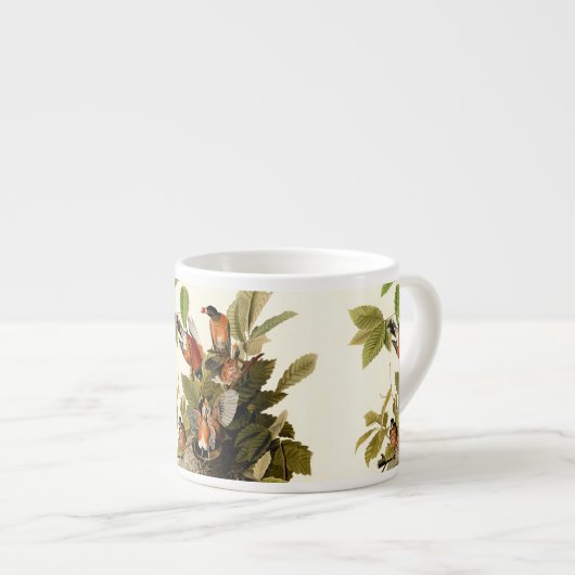 Audubon Amerikaanse Robin Wildlife Bird Illustrati Espresso Kop (Voorkant rechts)