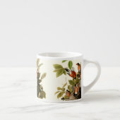 Audubon Amerikaanse Robin Wildlife Bird Illustrati Espresso Kop (Rechts)