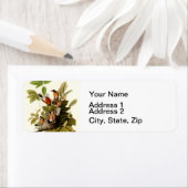 Audubon Amerikaanse Robin Wildlife Bird Illustrati Etiket (Insitu)