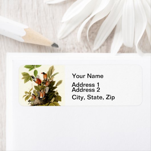 Audubon Amerikaanse Robin Wildlife Bird Illustrati Etiket (Insitu)