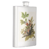 Audubon Amerikaanse Robin Wildlife Bird Illustrati Flacon (Rechts)