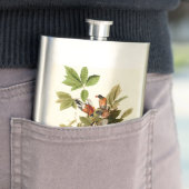 Audubon Amerikaanse Robin Wildlife Bird Illustrati Flacon (Voorbeeld)