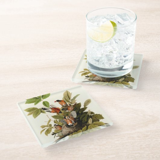 Audubon Amerikaanse Robin Wildlife Bird Illustrati Glazen Onderzetter (Schuin)