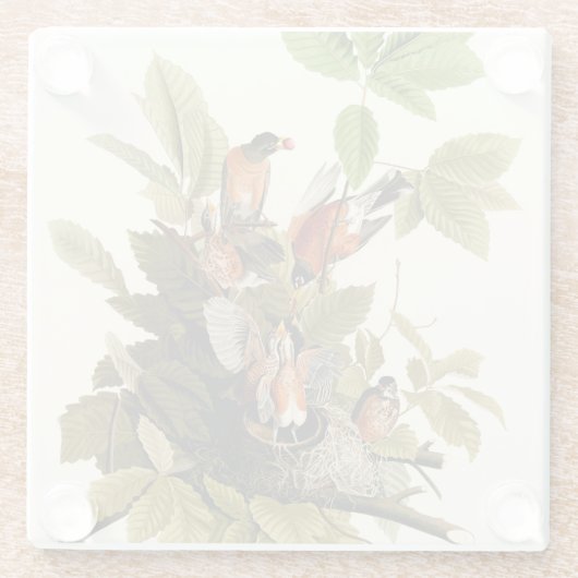 Audubon Amerikaanse Robin Wildlife Bird Illustrati Glazen Onderzetter (Achterkant)