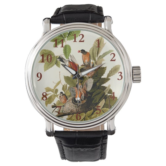 Audubon Amerikaanse Robin Wildlife Bird Illustrati Horloge (Voorkant)