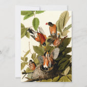 Audubon Amerikaanse Robin Wildlife Bird Illustrati Kaart (Achterkant)
