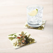 Audubon Amerikaanse Robin Wildlife Bird Illustrati Kartonnen Onderzetters (Insitu)