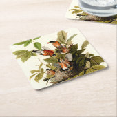 Audubon Amerikaanse Robin Wildlife Bird Illustrati Kartonnen Onderzetters (Schuin)