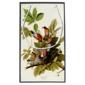 Audubon Amerikaanse Robin Wildlife Bird Illustrati Klein Cadeauzakje (Achterkant)