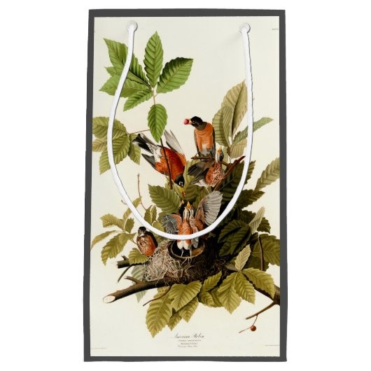 Audubon Amerikaanse Robin Wildlife Bird Illustrati Klein Cadeauzakje (Voorkant)
