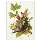 Audubon Amerikaanse Robin Wildlife Bird Illustrati Klembord (Achterkant)