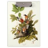 Audubon Amerikaanse Robin Wildlife Bird Illustrati Klembord (Voorkant)