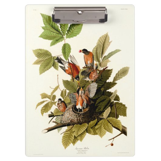 Audubon Amerikaanse Robin Wildlife Bird Illustrati Klembord (Voorkant)