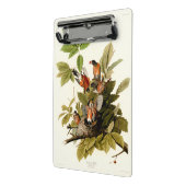 Audubon Amerikaanse Robin Wildlife Bird Illustrati Mini Klembord (Angled2)