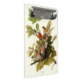 Audubon Amerikaanse Robin Wildlife Bird Illustrati Mini Klembord (Schuin)