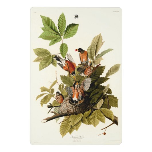 Audubon Amerikaanse Robin Wildlife Bird Illustrati Mini Klembord (Achterkant)