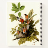 Audubon Amerikaanse Robin Wildlife Bird Illustrati Notitieboek (Achterkant)