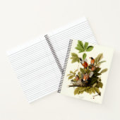 Audubon Amerikaanse Robin Wildlife Bird Illustrati Notitieboek (Binnen)