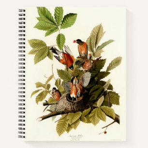 Audubon Amerikaanse Robin Wildlife Bird Illustrati Notitieboek