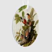 Audubon Amerikaanse Robin Wildlife Bird Illustrati Ornament (voorkant)