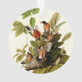 Audubon Amerikaanse Robin Wildlife Bird Illustrati Ornament (achterkant)