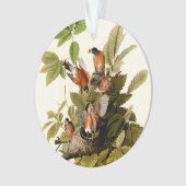 Audubon Amerikaanse Robin Wildlife Bird Illustrati Ornament (voorkant)