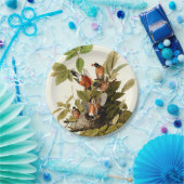 Audubon Amerikaanse Robin Wildlife Bird Illustrati Papieren Bordje (Feest)