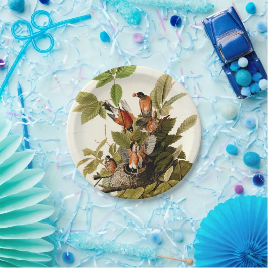 Audubon Amerikaanse Robin Wildlife Bird Illustrati Papieren Bordje (Feest)