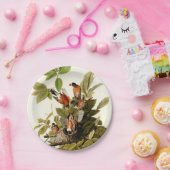 Audubon Amerikaanse Robin Wildlife Bird Illustrati Papieren Bordje (Feest)