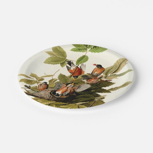 Audubon Amerikaanse Robin Wildlife Bird Illustrati Papieren Bordje (Gekanteld)