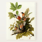 Audubon Amerikaanse Robin Wildlife Bird Illustrati Planner (Achterkant)