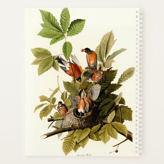 Audubon Amerikaanse Robin Wildlife Bird Illustrati Planner (Achterkant)