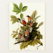 Audubon Amerikaanse Robin Wildlife Bird Illustrati Planner (Voorkant)