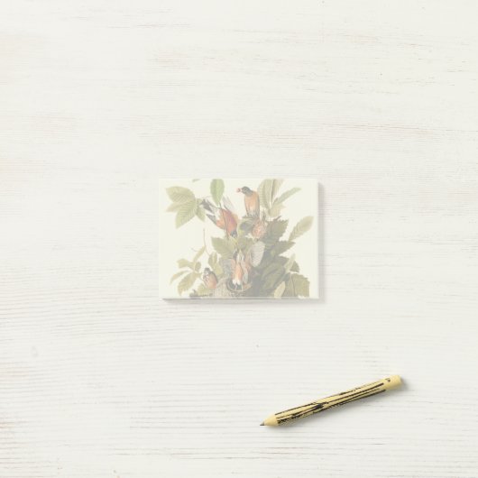 Audubon Amerikaanse Robin Wildlife Bird Illustrati Post-it® Notes (Op bureau)