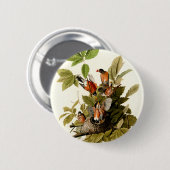 Audubon Amerikaanse Robin Wildlife Bird Illustrati Ronde Button 5,7 Cm (Voorkant /achterkant)