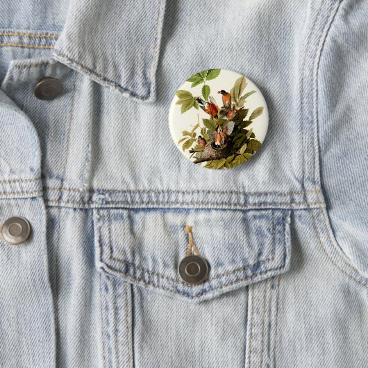 Audubon Amerikaanse Robin Wildlife Bird Illustrati Ronde Button 5,7 Cm (In situ)
