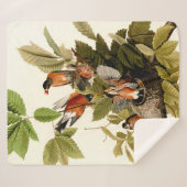 Audubon Amerikaanse Robin Wildlife Bird Illustrati Sherpa Deken (Voorkant (horizontaal))