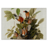Audubon Amerikaanse Robin Wildlife Bird Illustrati Snijplank (Voorkant)