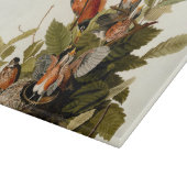Audubon Amerikaanse Robin Wildlife Bird Illustrati Snijplank (Hoek)