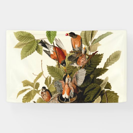 Audubon Amerikaanse Robin Wildlife Bird Illustrati Spandoek (Horizontaal)