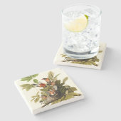 Audubon Amerikaanse Robin Wildlife Bird Illustrati Stenen Onderzetter (Zijkant)