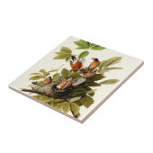 Audubon Amerikaanse Robin Wildlife Bird Illustrati Tegeltje (Zijkant)