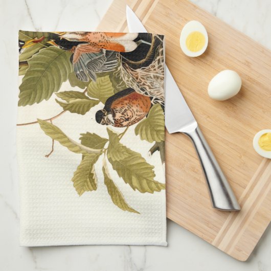 Audubon Amerikaanse Robin Wildlife Bird Illustrati Theedoek (Quarter Fold)