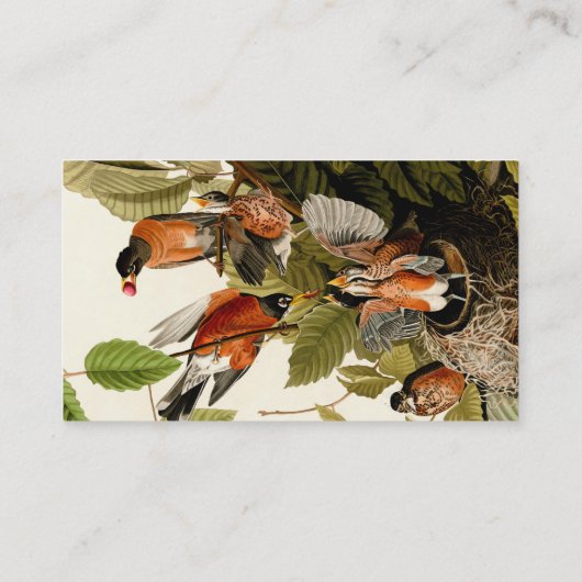 Audubon Amerikaanse Robin Wildlife Bird Illustrati Visitekaartje (Achterkant)