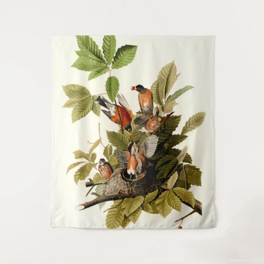 Audubon Amerikaanse Robin Wildlife Bird Illustrati Wandkleed (Voorkant)