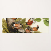 Audubon Amerikaanse Robin Wildlife Bird Illustrati Yogamat (Achterkant (horizontaal))
