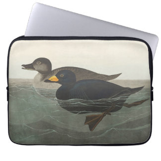 Audubon Amerikaanse Zwarte Zee-eend Vogel Schilder Laptop Sleeve
