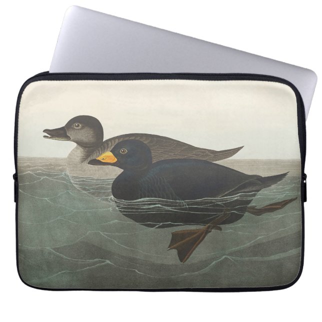 Audubon Amerikaanse Zwarte Zee-eend Vogel Schilder Laptop Sleeve (Voorkant)